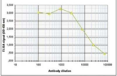 ELISA: Histone H3 [ac Lys36] Antibody [NBP2-59273]